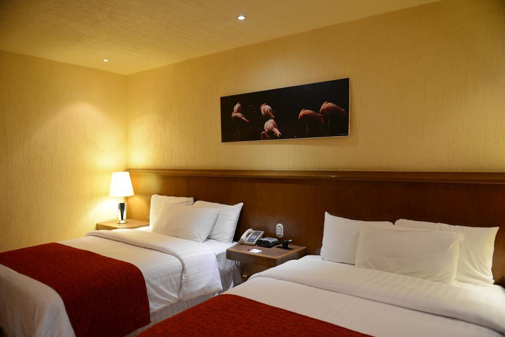 City Express By Marriott Ciudad De Mexico Tlalpan 部屋 写真